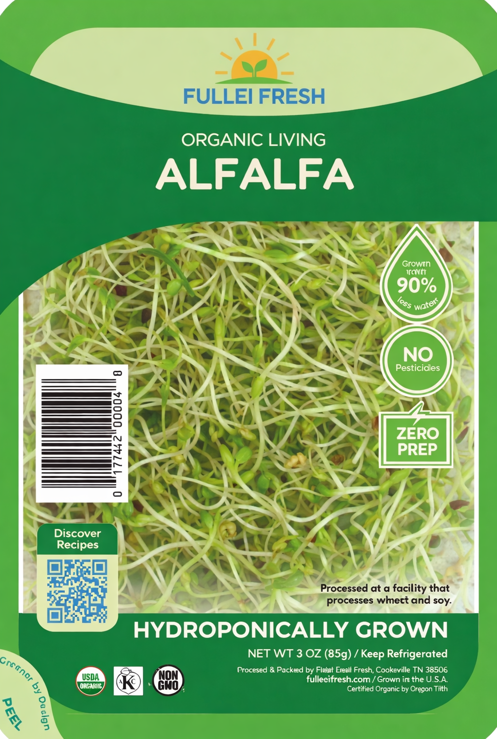 Alfalfa Sprouts
